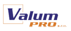 Logo Valum Pro